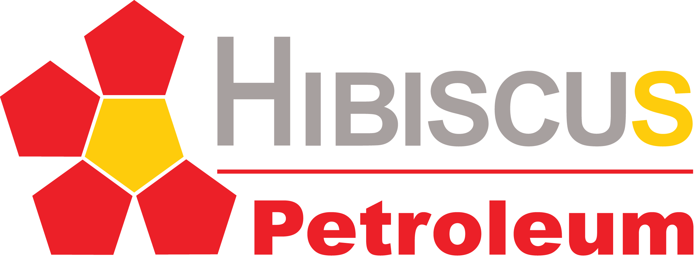 Client Company Logo